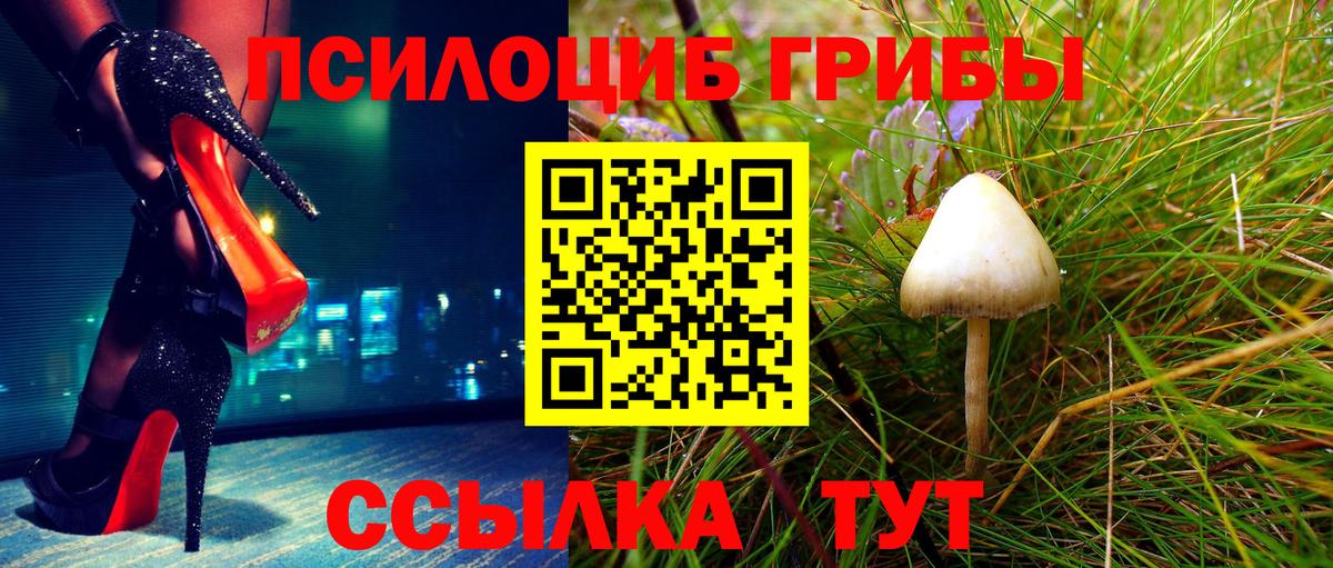 Галлюциногенные грибы прущие грибы Коммунар