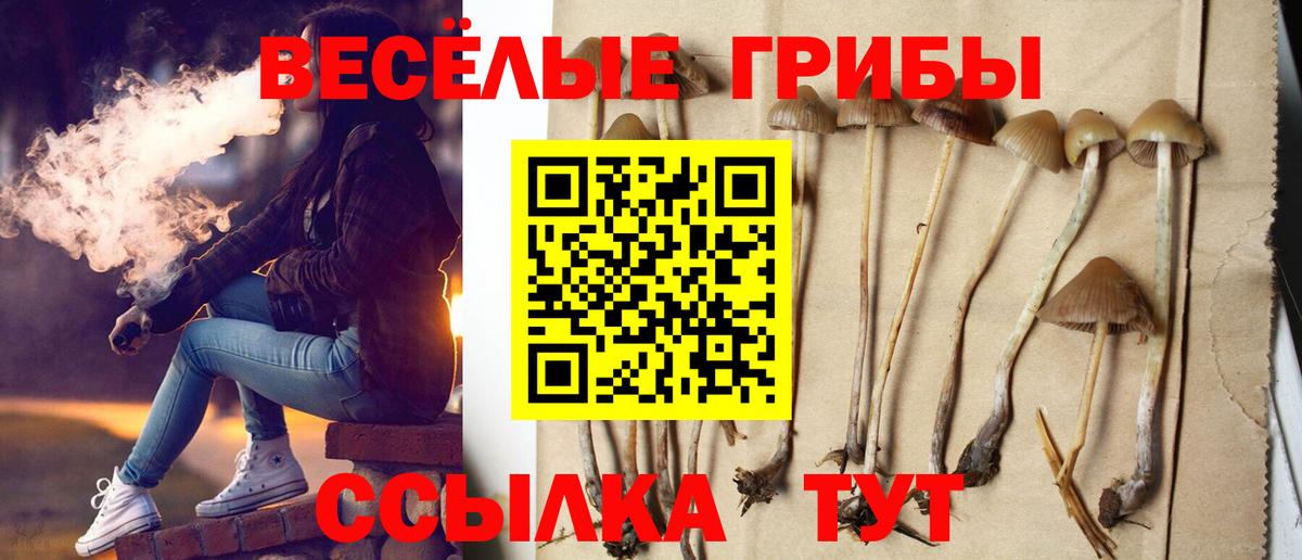 Галлюциногенные грибы MAGIC MUSHROOMS  Вход с VPN  цены наркотик  Коммунар 